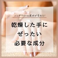 画像1255