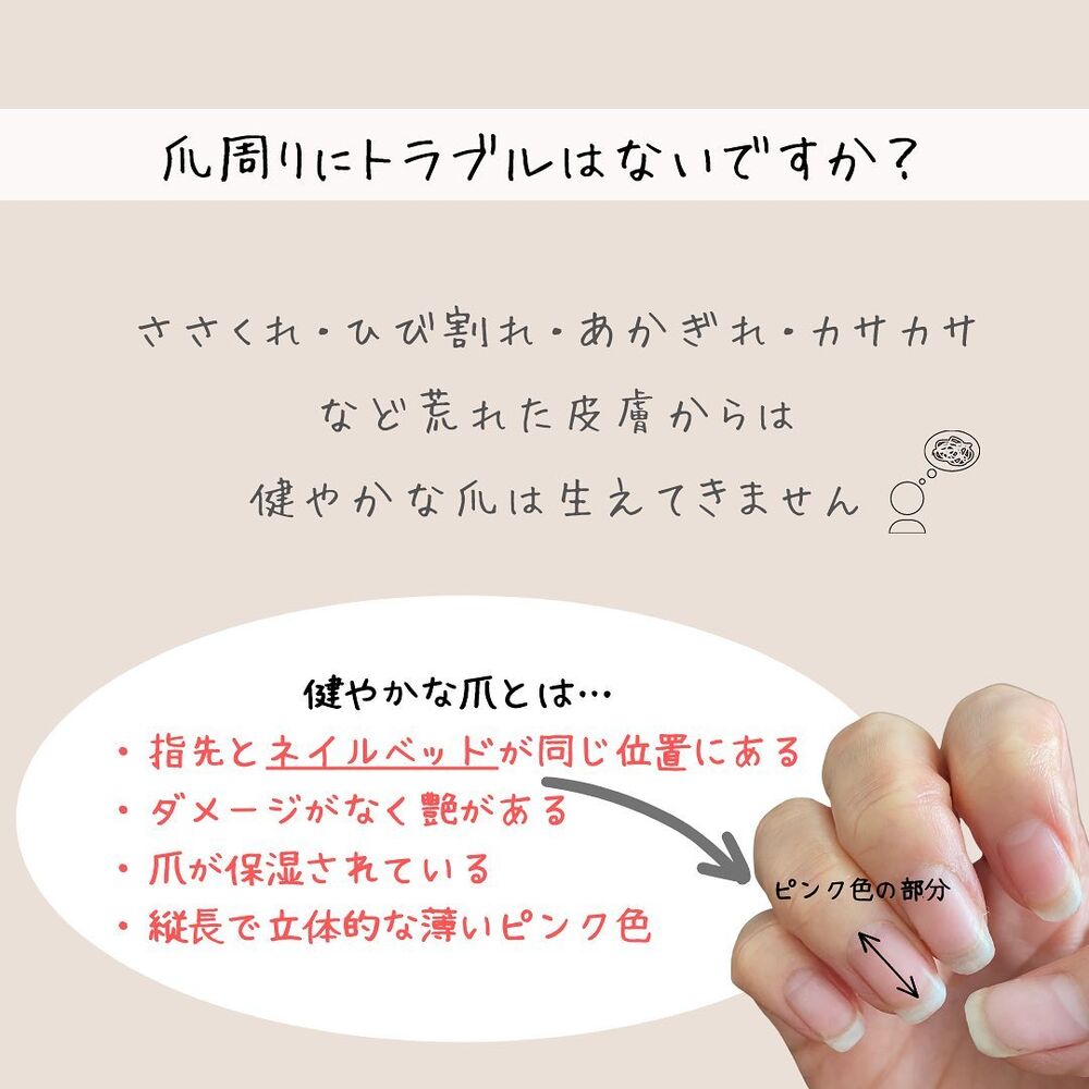画像1334