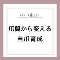 画像1338