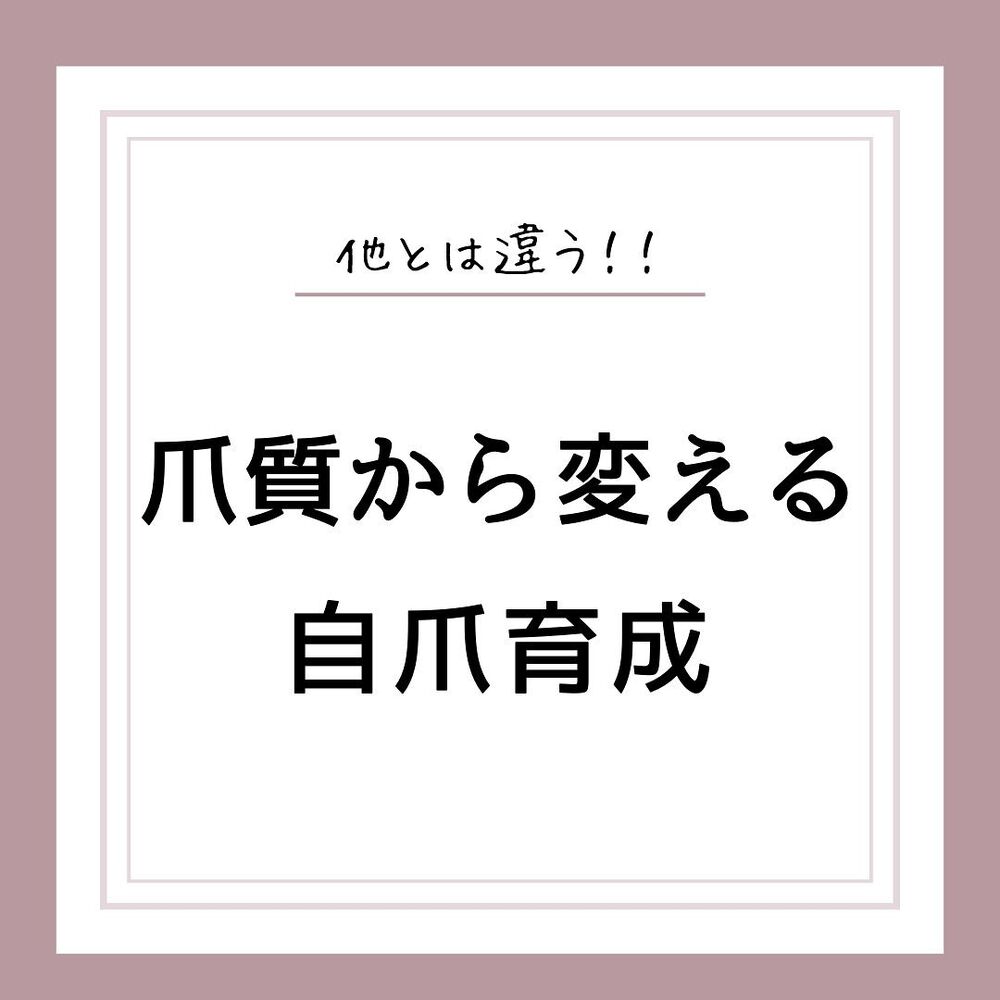 画像1338