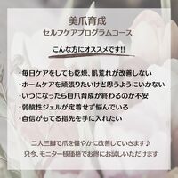 画像1342