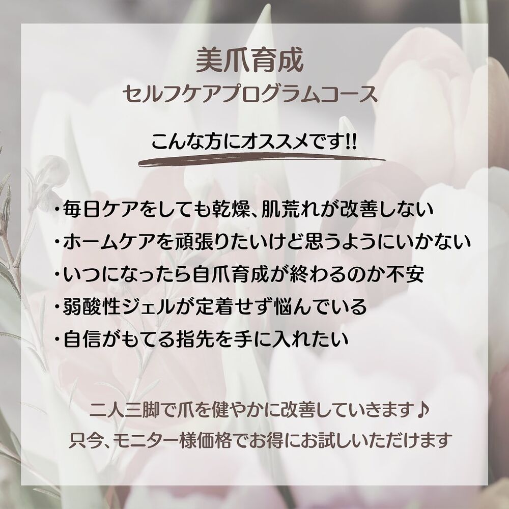画像1342