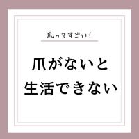 画像1396