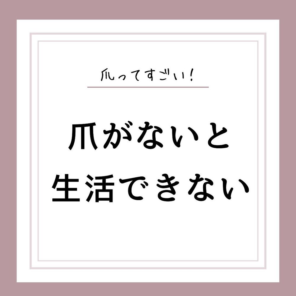 画像1396