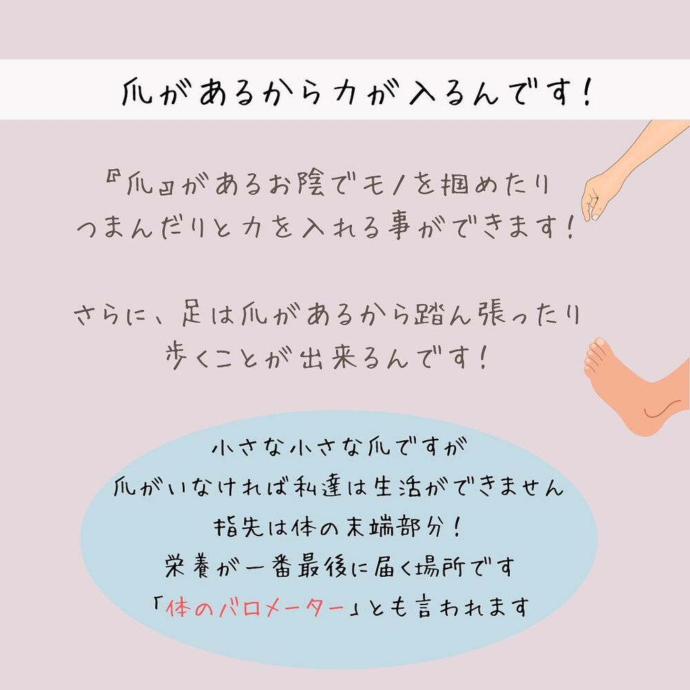 画像1398