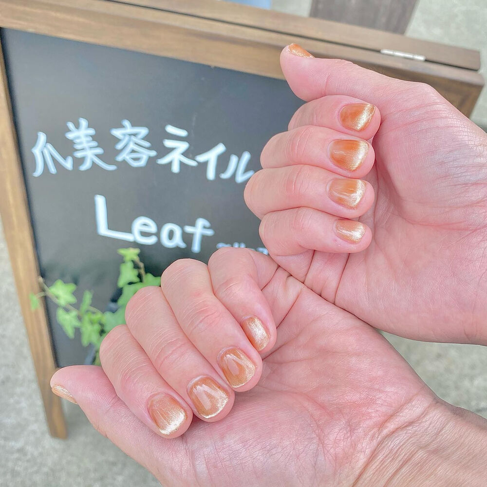 画像1430