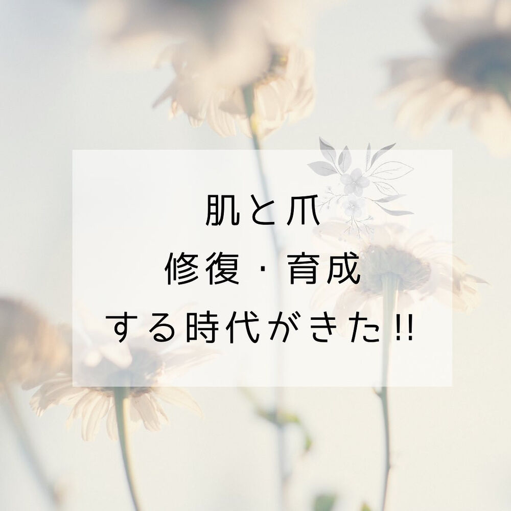画像1432