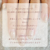画像1656